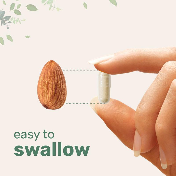 Revio® Multi Collagen Capsules